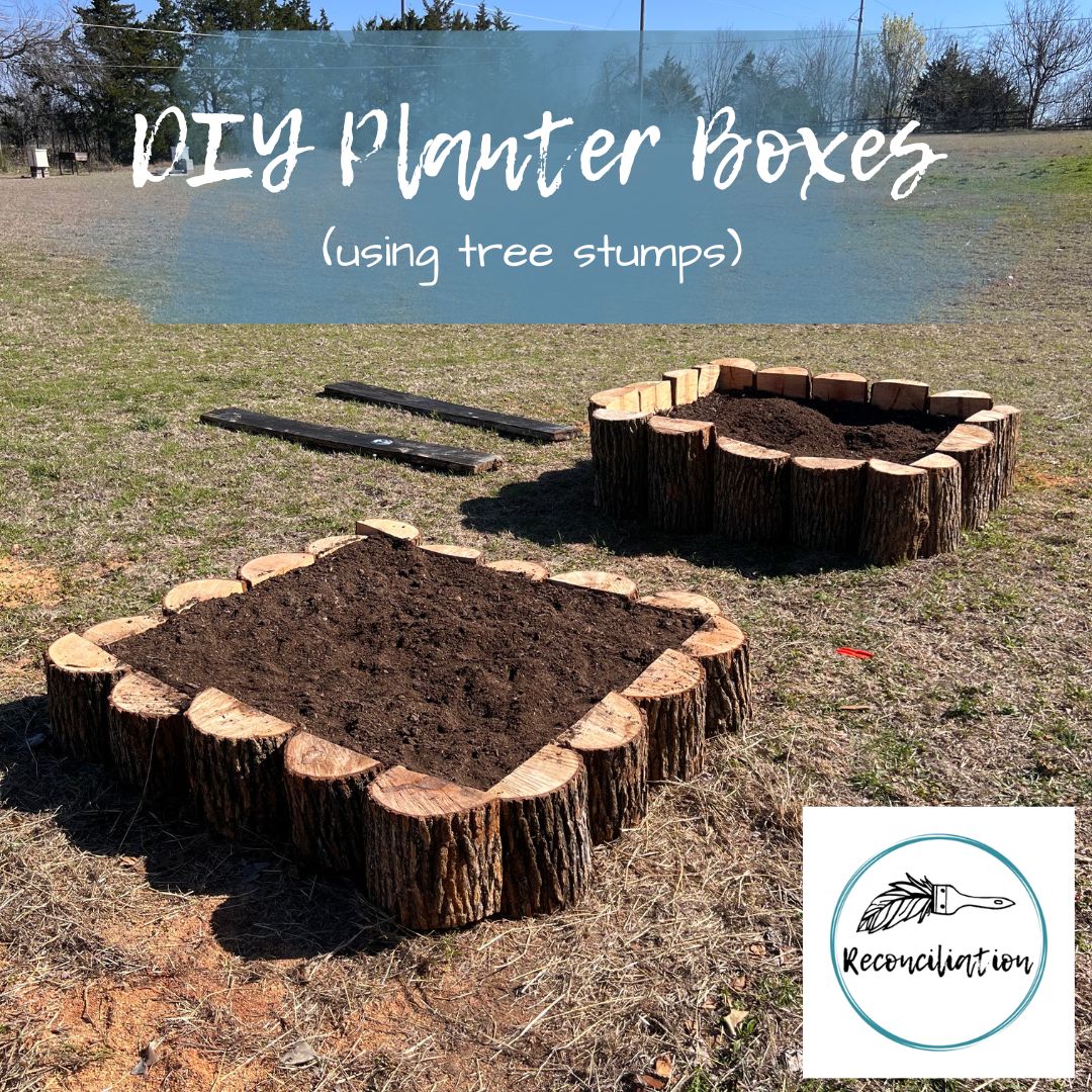 how to build planter boxes using tree stumps