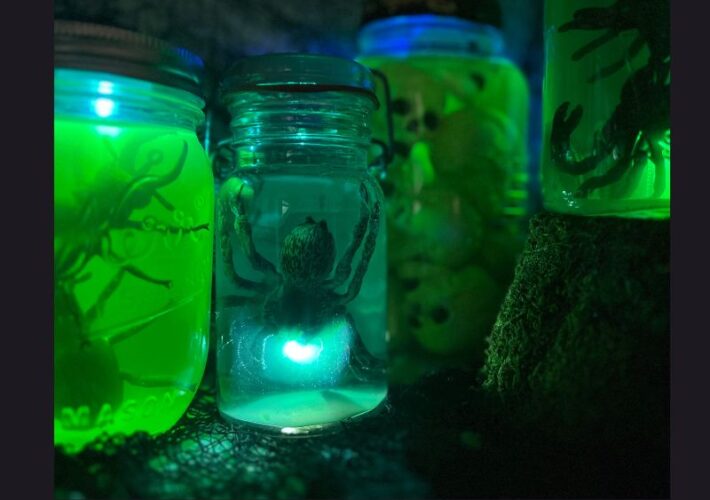 diy specimen jars title