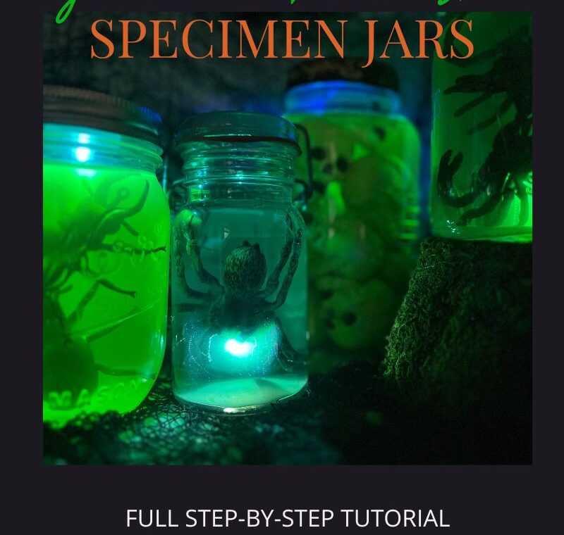 diy specimen jars title