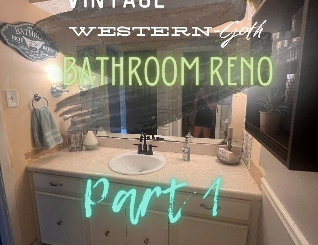 bathroom reno part 1 cover
