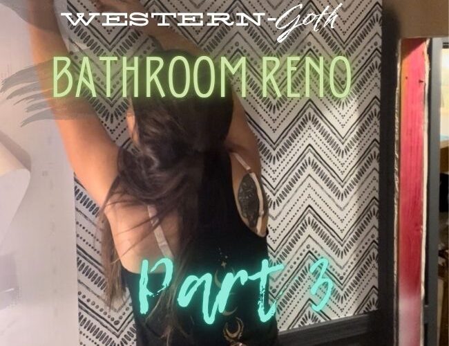 bathroom reno part 3 cover