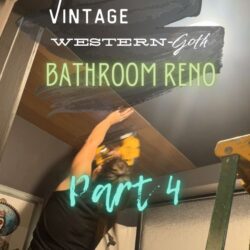 Budget-friendly Guest Bathroom Remodel: Part 4