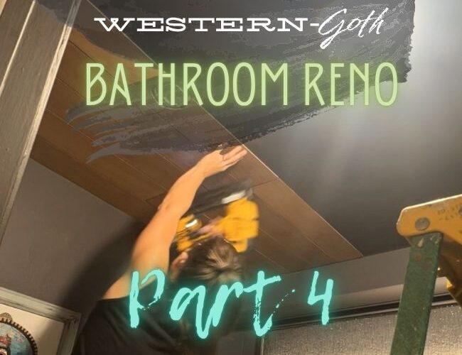 bathroom reno part 4 cover