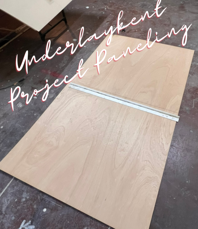 bathroom remodel part 4- underlayment project paneling