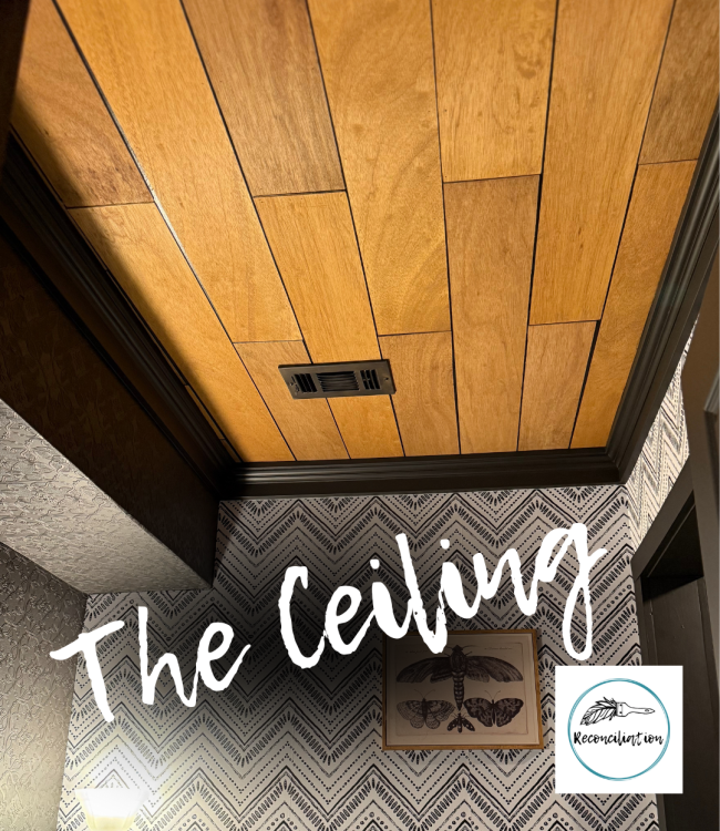 final reveal- the ceiling